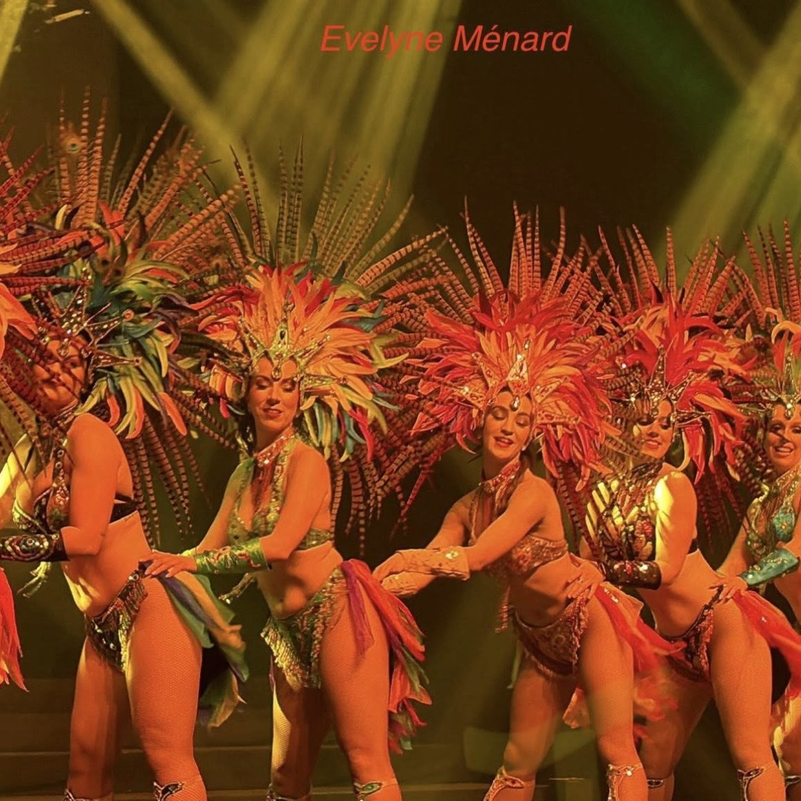 So Chic Spectacles Brésil samba brésilienne danseuses plumes strass multicolores