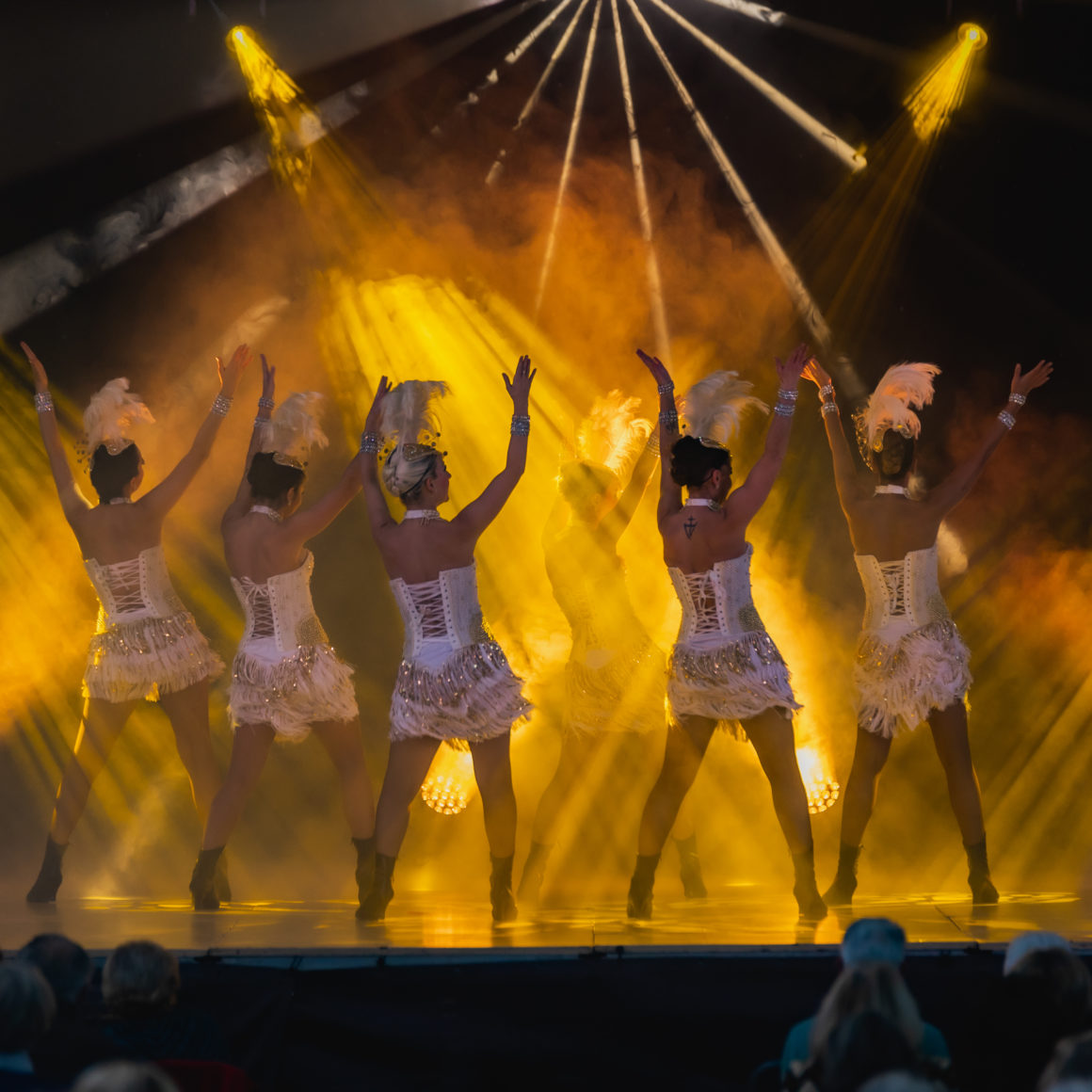 So Chic Spectacles charleston années folles Gatsby plumes strass luxe danseuses trompettes lumières